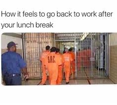 We did not find results for: Dopl3r Com Memes How It Feels To Go Back To Work After Your Lunch Break