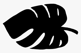We did not find results for: Transparent Leaf Accent Clipart Tropical Leaves Silhouette Png Png Download Kindpng