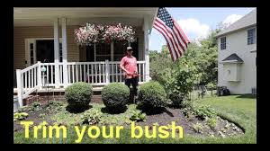 In this video i'll be applying scotts disease ex to my lawn. Lawn Disease Scott S Diseaseex Youtube