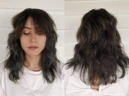 Long Layered Haircuts Wavy Hair No Bangs In 2020 125 Coolest Shag Haircuts For All Ages Prochronism O Haircuts For Wavy Hair Long Layered Haircuts Shag Haircut