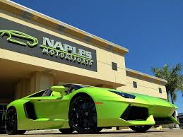 Image result for Verde Boreale 2008 147