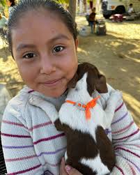 Coming down soon? SNAP is in need of collar and leashes. Why do we need  collars and leashes? At our community clinic we provide each dog that does  not have a collar