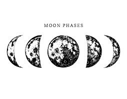 Another crescent moon sleeping peacefully. Moon Phases Clipart Transparent Clipart World