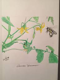 Pin By Louis Ginns On My Original Color Pencil Drawings Pencil Drawings Color Pencil Drawing Drawings Office printer paper is cheap and smooth and doesn't bleed if you like to sketch in pen. pinterest