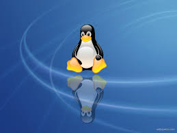 Multiple sizes available for all screen sizes. 47 Linux Penguin Wallpaper On Wallpapersafari