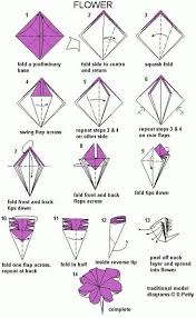 Pin By Siu Yuin Pang On Infographics Origami Easy Origami Flowers Instructions Easy Origami Flower
