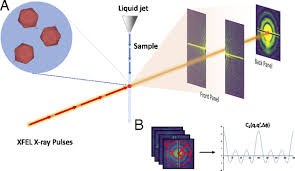 The backscattered electron detector uses a large area silicon diode specially fabricated for electron detection. Ab Initio Structure Determination From Experimental Fluctuation X Ray Scattering Data Pnas