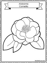 Trying to find a state flower? 50 State Flowers Color Worksheets State Symbols Curriculum Tpt