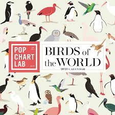 birds of the world by pop chart lab wall calendar 2020