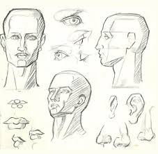 Drawing the human body can take practice and skill. How To Draw The Human Figure Drawing Body Head Facial Features How To Draw Step By Step Drawing Tutorials