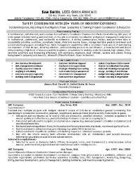 safety coordinator resume example