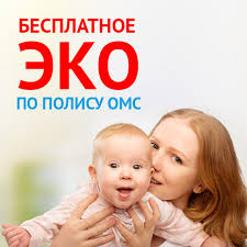 Kak Poluchit Napravlenie Na Besplatnoe Eko Po Polisu Oms Rasskazyvaet Upravlyayushij Tyndinskim Ofisom Amurskogo Filiala Ao Strahovaya Kompaniya Sogaz Med Kristina Klimchuk Novosti Internet Portal Gazeta Bam Ru