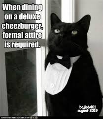 Funny memes fat cat meme. Lolcats Tuxedo Lol At Funny Cat Memes Funny Cat Pictures With Words On Them Lol Cat Memes Funny Cats Funny Cat Pictures With Words On