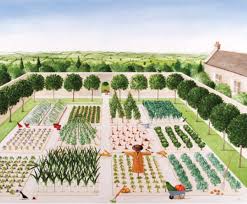 Rebecca Campbell The Kitchen Garden Card In Waterstones Garden Illustration Spring Vegetable Garden Garden Design
