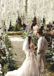 Their Wedding Is So Cute Twilight Wedding Night Wedding Photos Redwood Forest Wedding