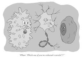 Brain Joke Science Cartoons Science Jokes Human Body Systems