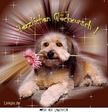 Https Encrypted Tbn0 Gstatic Com Images Q Tbn And9gcrlhc6dn7 Yejyo1vbng1gg7 Foe1hmotcj8w Usqp Cau