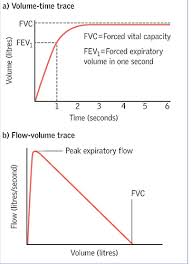 Interpretation And Evaluation Of Pulmonary Function Tests