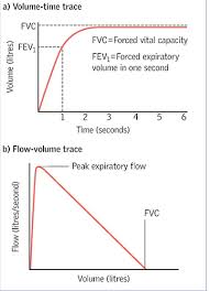 interpretation and evaluation of pulmonary function tests