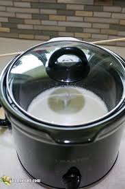 In a small bowl, whisk together evaporated milk and flour until smooth. Keto Sweetened Condensed Milk By Budget101 Com