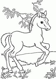 Baby Horse Pony Coloring Page For Kids For Girls Coloring Pages Printables Free Horse Coloring Books Farm Animal Coloring Pages Horse Coloring Pages