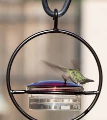 This hummingbird feeder takes multiple items you might otherwise toss and recycles them into an hang it upside down from a tree, and you have a beautiful upcycled hummingbird feeder. Best Small Hanging Glass Hummingbird Feeder We Love Hummingbirds