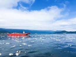 Image result for Ottelia cylindrica