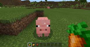 It can be used to find. What Do Pigs Eat In Minecraft 3 Food Items Pigs Consume Games Bap