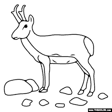 There are four subspecies of pronghorn that can be found in mexico, arizona, throughout the great plains and in the canada. Pronghorn Coloring Page