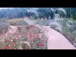 Yaitu kolam renang dm pandeglang yang berlokasi di kampung dema. Taman Bunga Dm Tirta Pandeglang Youtube