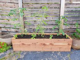 Both cedar and redwood add a beautiful look to your raised bed garden while also employing a natural resistance to moisture, bugs, and rot. How To Build A Raised Garden Bed On Concrete Patio Or Hard Surface Homestead And Chill