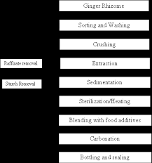 Development And Characterization Of A Carbonated Ginger