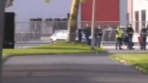 Bruno lage won the portuguese title in 2019. Https Giphy Com Gifs Pirates Of The Caribbean Talk Like A Pirate Day 101tdahqj26sfu 2015 09 19t18 20 11 00 00 Weekly 0 8 Https Media2 Giphy Com Media 101tdahqj26sfu Giphy Gif Happy Johnny Depp Gif Https Giphy Com Gifs Shalwar Kameez