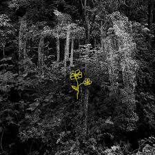 Why don't you let us know. Secangkir Teh Rintik Hujan Dan Baris Melodi Song By Layur Spotify
