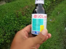Racun rumput murah buatan sendiri / terbukti mematikan. 9 Cara Membasmi Rumput Liar Agar Tidak Tumbuh Lagi