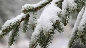 Der kalendarische winter beginnt am kürzesten tag des jahres, am 21. Wann Ist Winteranfang 2018 Kalendarischer Vs Meteorologischer Winterbeginn Welt