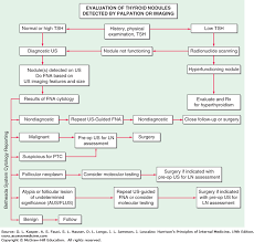 Disorders Of The Thyroid Gland Harrisons Principles Of