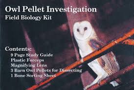 Barn Owl Pellet Kit Individual Student