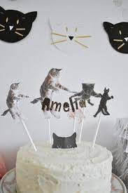 See more ideas about cat birthday party, cat party, cat birthday. Amelia S Kitty Cat Birthday Party Cat Birthday Party Kitten Birthday Party Cat Themed Birthday Party