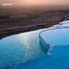 السؤال لماذا ارتبك الصحابي الجليل عبد قوانين كونية وشريعة اسلامية Facebook