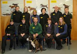 Almost 14,000 dogs rehomed by Ballymena's Dog Trust