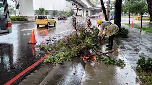 台南, 西南氣流, 豪雨, 淹水, 水利局, 降雨 巴威「挑戰強颱」持續影響台灣 雨彈連炸6天越晚雨越大 2020/08/24 18:35 2020/08/24 18:35 W5annbwzthouqm