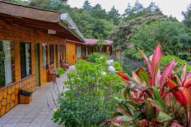 Plus nya lagi, masuk ke taman ini gratis, tidak membayar apapun. El Bosque Trails Eco Lodge Monteverde Costa Rica Costa Rica Harga Dari 64 Ulasan Planet Of Hotels