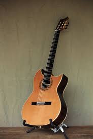 Takamine Pro Series 7 Nex Cutaway Acoustic Electric Guitar Pin By Robert On Un Plugged Acoustic Guitar Guitar Acoustic