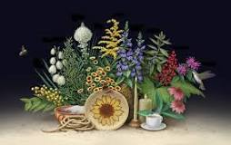 Image result for ethnobotany definition