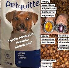 kaliteli ve uygun fiyatli puppy yavru kopek karamursel halk bankasinin karsisindaki aradan girin az ilerleyin solda okull puppies instagram posts instagram
