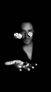 Kucing, kucing, hitam, wallpaper, sc, android name : Pin Pa Kertas