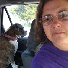 Fancy, the fawn colored chiweenie, was just diagnosed with Cushings  disease. Time to start medication and hope for more years with her! I love  them both so much! Please no fat shaming,