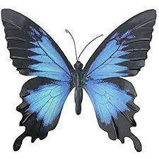 Large Metal Butterfly Pink And Black Outdoor Garden Home Decoration Wall Art By Primus Amazon Co Uk Kitchen H Outdoor Garden Butterflies Outdoor Buy Garden