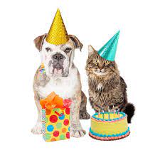 Pin On Mila S Pawty